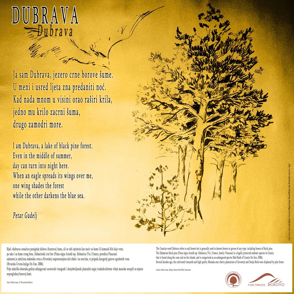 Šuma Dubrava