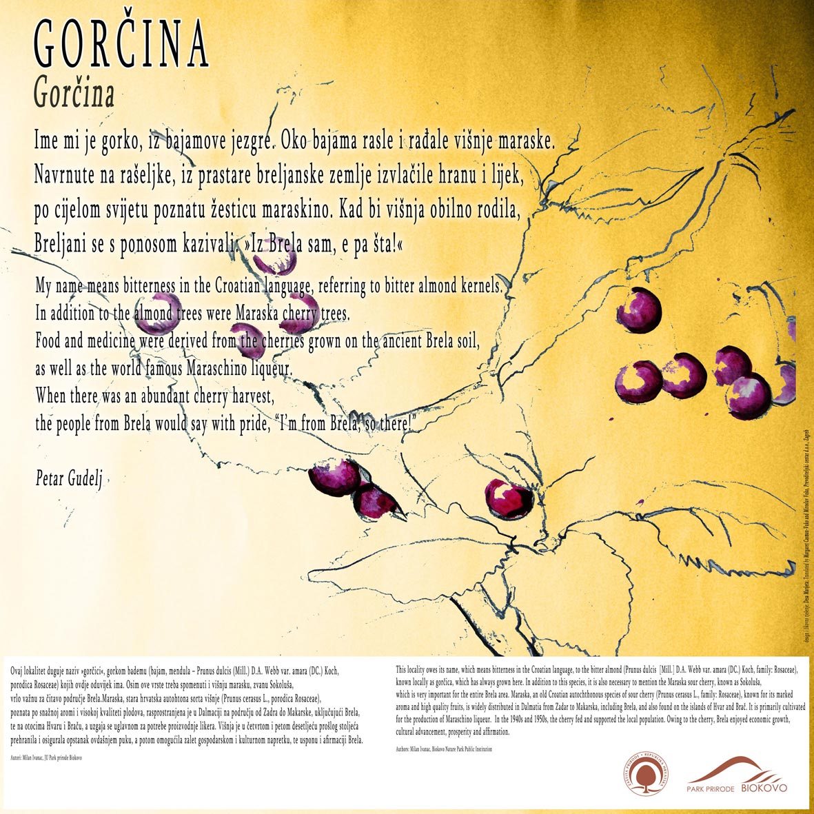 Gorčina